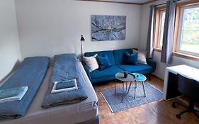 Privat rom i leilighet